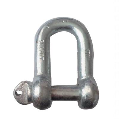 DROP FORGED DIN82101A SHACKLE